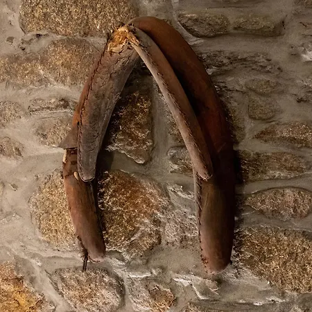 Babhouse Loja Do Cavalo - Coracao Do Douro شقة São João da Pesqueira