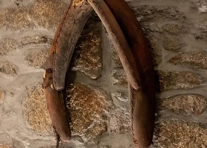 Babhouse Loja Do Cavalo - Coracao Do Douro Apartmán São João da Pesqueira